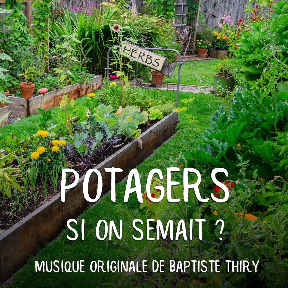 Potagers : si on semait !